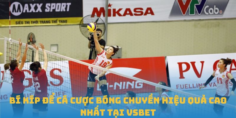 Bí kíp để cá cược bóng chuyền hiệu quả cao nhất tại VSBET