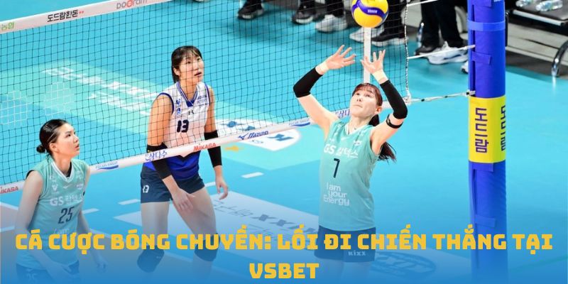 Cá Cược Bóng Chuyền: Lối Đi Chiến Thắng Tại VSBET