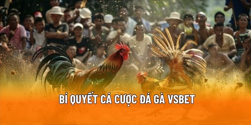 Mẹo chơi đá gà giúp bạn về bờ dễ dàng