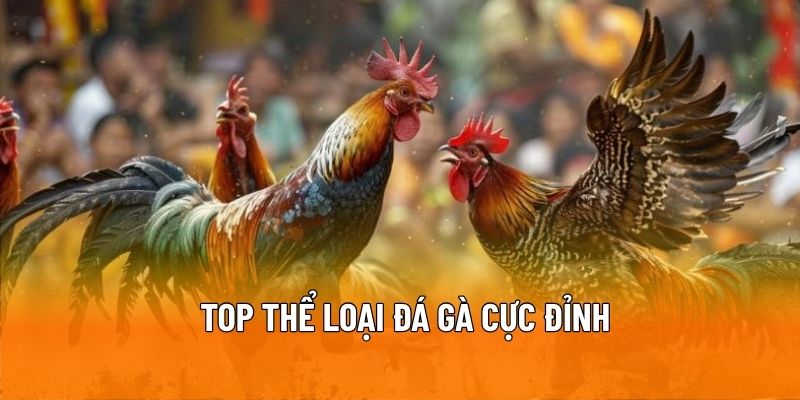 Những kiểu đá gà hot nhất tại nền tảng