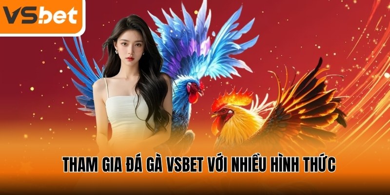 Tham gia đá gà VSBET với đa dạng hình thức chọi kê