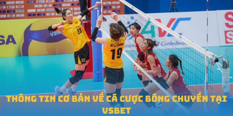 Thông tin cơ bản về cá cược bóng chuyền tại VSBET